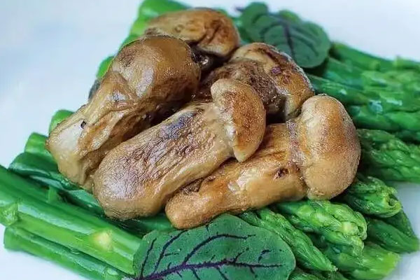 腸癌的人可以吃松茸嗎 腸癌的人可以吃松茸嗎