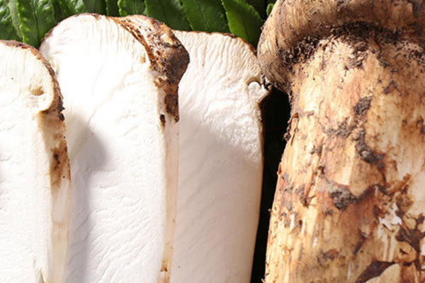 吃松茸會(huì)不會(huì)肚子脹痛 吃松茸會(huì)不會(huì)肚子脹痛