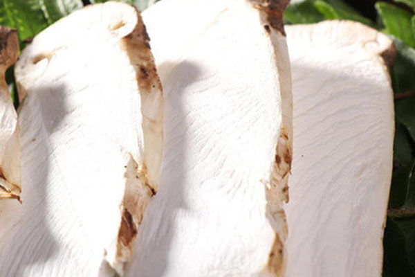 脾胃虛弱能吃松茸嗎 脾胃虛弱能吃松茸嗎