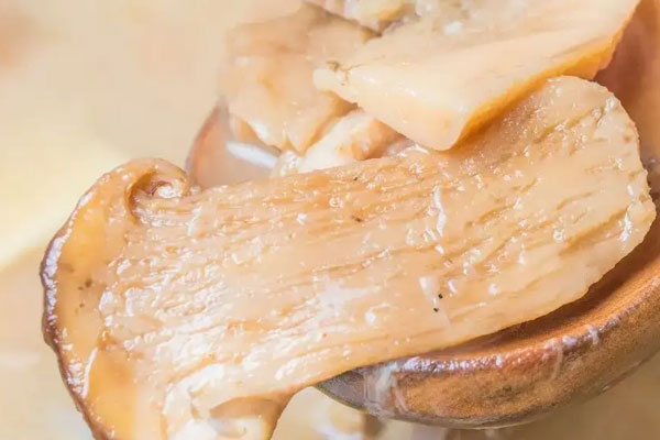 鮮松茸湯煮多長(zhǎng)時(shí)間好 鮮松茸湯煮多長(zhǎng)時(shí)間好