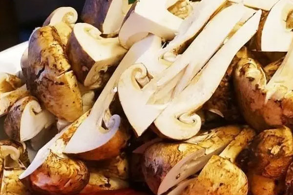 打完胎能吃松茸嗎，做了手術可以吃松茸嗎