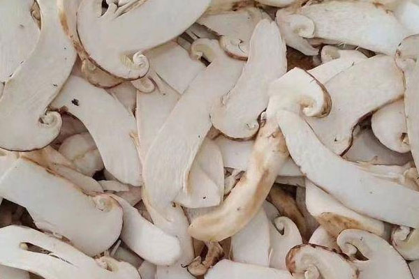 月經(jīng)少能吃松茸嗎 月經(jīng)少能吃松茸嗎