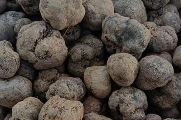 黑松露酥皮烤羊排的禁忌人群 黑松露酥皮烤羊排的禁忌人群