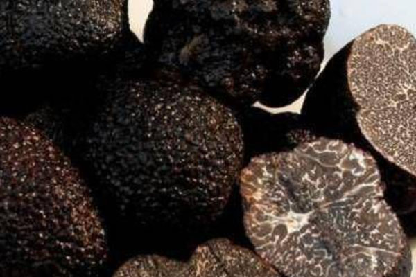 黑松露蔓越莓泡芙的功效作用 黑松露蔓越莓泡芙的功效作用