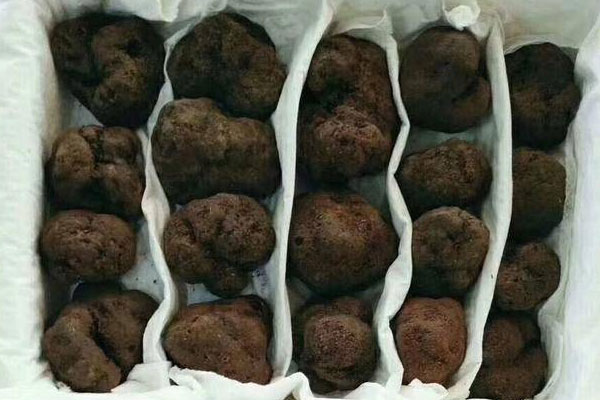 黑松露蔓越莓泡芙的禁忌人群 黑松露蔓越莓泡芙的禁忌人群