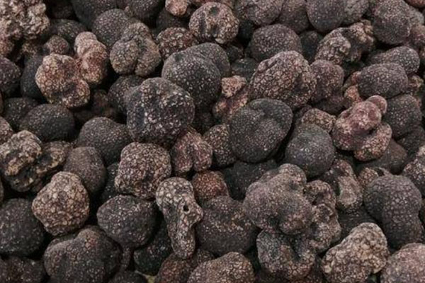 黑松露土豆紫薯糕的營(yíng)養(yǎng)價(jià)值 黑松露土豆紫薯糕的營(yíng)養(yǎng)價(jià)值