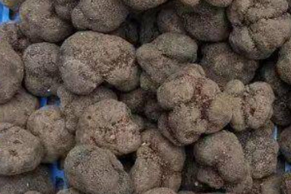 黑松露蘆筍冷湯的功效作用 黑松露蘆筍冷湯的功效作用