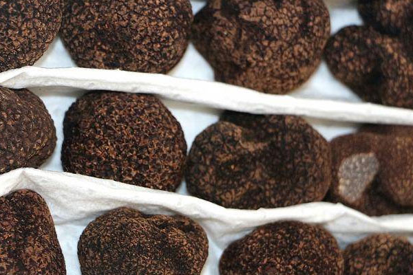 黑松露云腿酥的功效作用 黑松露云腿酥的功效作用