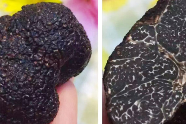 黑松露云腿酥的禁忌人群 黑松露云腿酥的禁忌人群