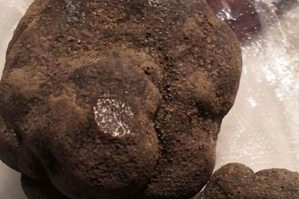 香蔥炒黑松露的食用禁忌 香蔥炒黑松露的食用禁忌