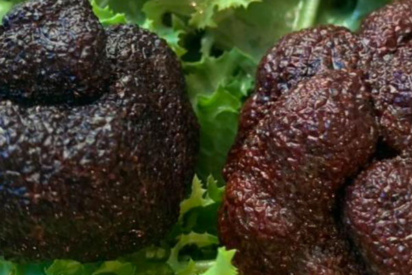 黑松露瘦肉蒸鴿蛋的功效作用