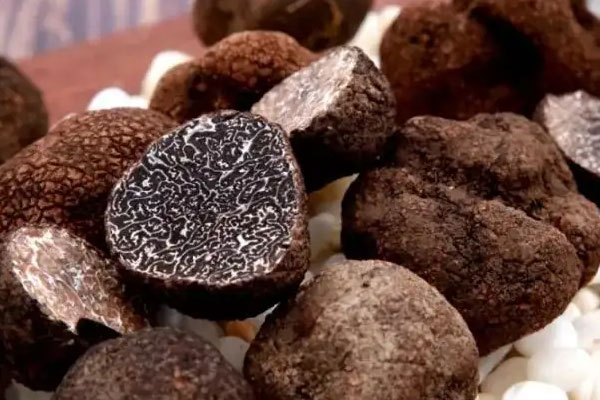 黑松露雞肉卷蘑菇沙拉的食用禁忌