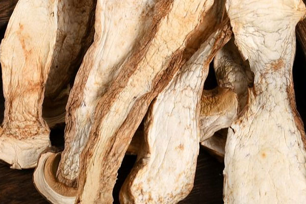 干牛肝菌燜五花肉的營(yíng)養(yǎng)價(jià)值 干牛肝菌燜五花肉的營(yíng)養(yǎng)價(jià)值