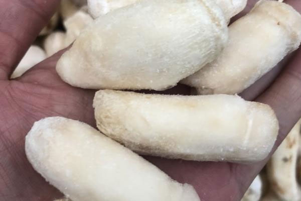 松茸奶酪拌意面的食用禁忌