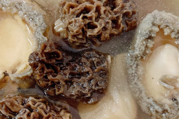 羊肚菌猴頭菇鴿子湯怎么做好吃，有哪些營養(yǎng)價值