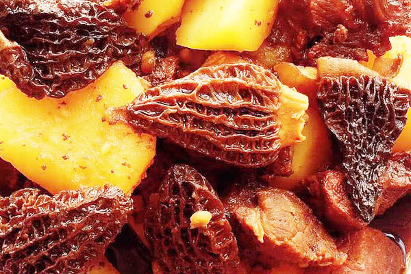 羊肚菌土豆燉牛肉的做法，有哪些功效作用