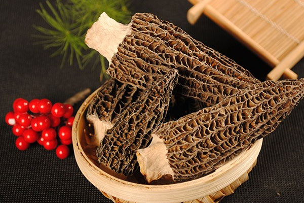 羊肚菌土豆燉牛肉的營養(yǎng)價值 羊肚菌土豆燉牛肉的營養(yǎng)價值