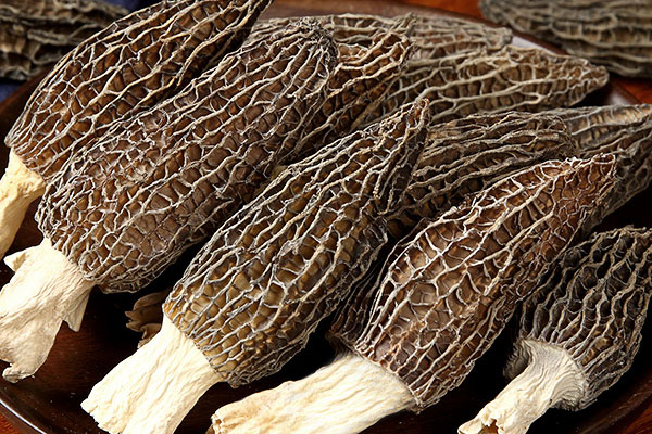 羊肚菌土豆燉牛肉的食用禁忌 羊肚菌土豆燉牛肉的食用禁忌