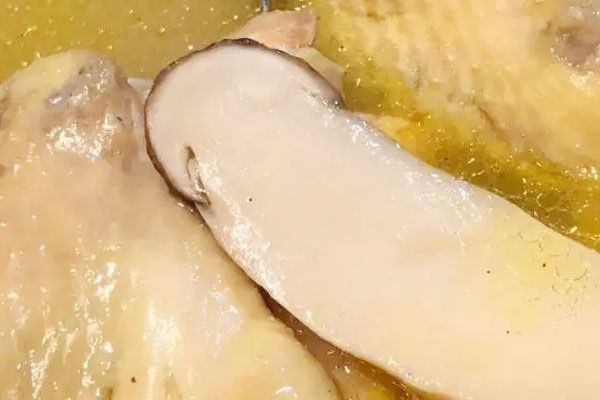 白蘿卜松茸能燉雞湯嗎 白蘿卜松茸能燉雞湯嗎