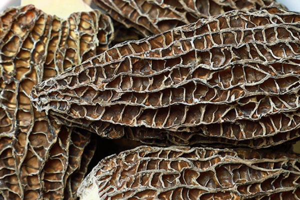 羊肚菌豆苗筒骨湯的食用禁忌 羊肚菌豆苗筒骨湯的食用禁忌