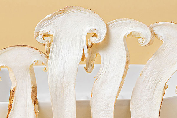 松茸有幾種形態(tài) 松茸有幾種形態(tài)