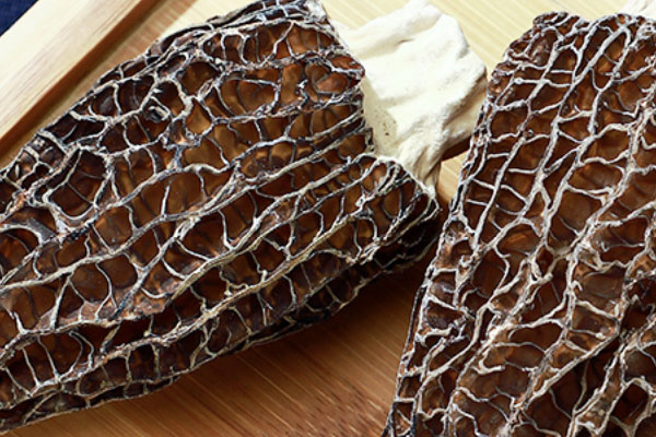 羊肚菌龍眼鴨湯的禁忌人群 羊肚菌龍眼鴨湯的禁忌人群