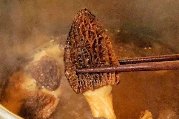 羊肚菌洋蔥牛骨湯的營養(yǎng)價值 羊肚菌洋蔥牛骨湯的營養(yǎng)價值