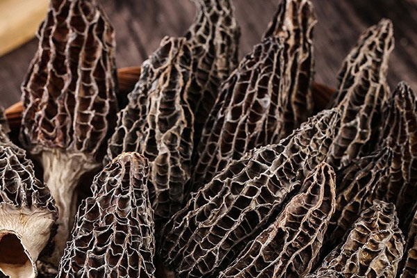 羊肚菌洋蔥牛骨湯的食用禁忌 羊肚菌洋蔥牛骨湯的食用禁忌