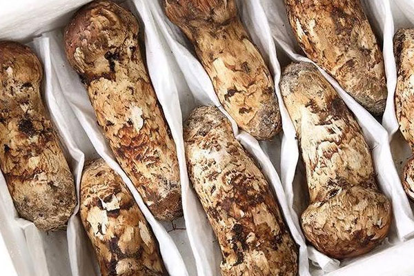 松茸燉瘦肉有什么作用 松茸燉瘦肉有什么作用