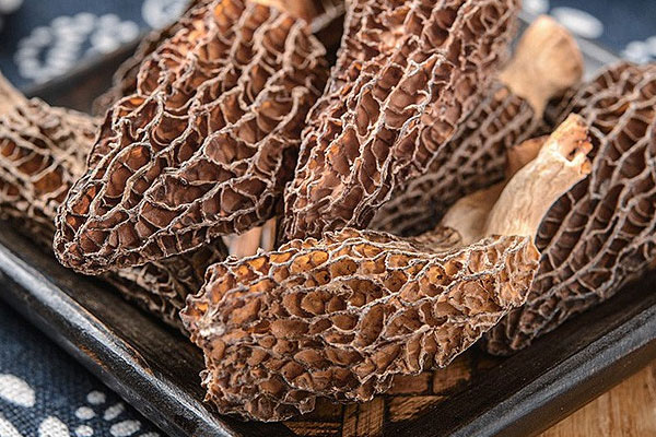 羊肚菌花菇雞湯面的功效作用 羊肚菌花菇雞湯面的功效作用