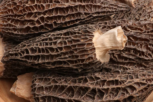 羊肚菌花菇雞湯面的食用禁忌 羊肚菌花菇雞湯面的食用禁忌