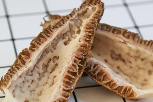 羊肚菌西芹爆炒豬腰的食用禁忌 羊肚菌西芹爆炒豬腰的食用禁忌