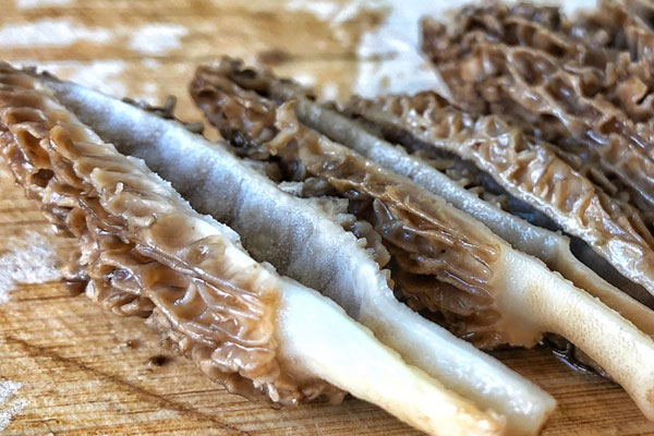 羊肚菌燜茄盒的食用禁忌 羊肚菌燜茄盒的食用禁忌