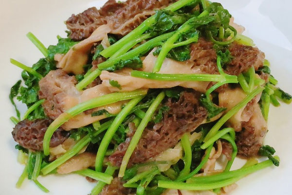 香菜爆炒羊肚菌的做法，有哪些功效作用