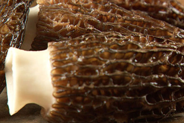 羊肚菌黃瓜紫菜飯團(tuán)的功效作用 羊肚菌黃瓜紫菜飯團(tuán)的功效作用