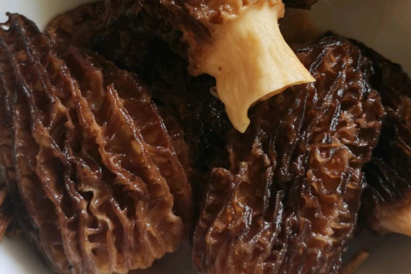 羊肚菌銀耳海馬湯的功效作用 羊肚菌銀耳海馬湯的功效作用