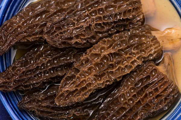 羊肚菌銀耳海馬湯的食用禁忌 羊肚菌銀耳海馬湯的食用禁忌