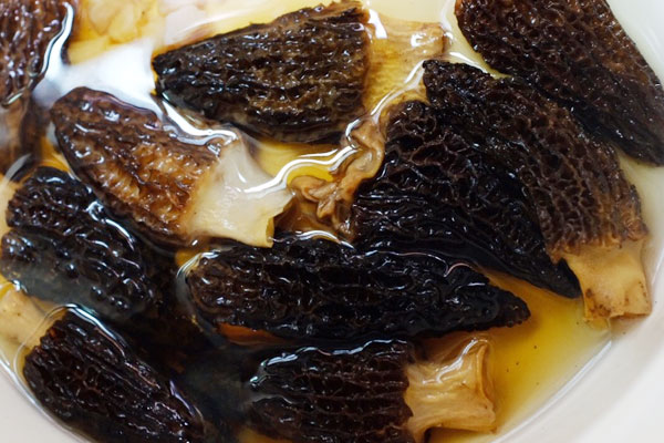 羊肚菌鮮蝦砂鍋粥的營(yíng)養(yǎng)價(jià)值 羊肚菌鮮蝦砂鍋粥的營(yíng)養(yǎng)價(jià)值