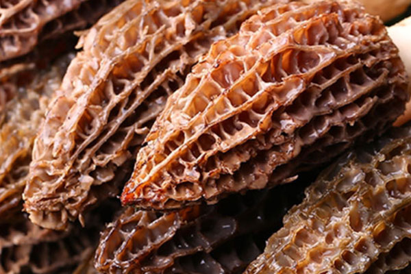 洋蔥孜然爆炒羊肚菌的食用禁忌 洋蔥孜然爆炒羊肚菌的食用禁忌