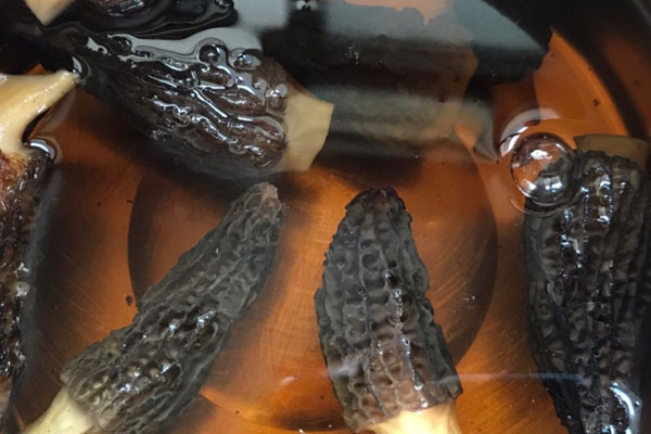 羊肚菌蝦泥蒸炸腐竹的食用禁忌 羊肚菌蝦泥蒸炸腐竹的食用禁忌