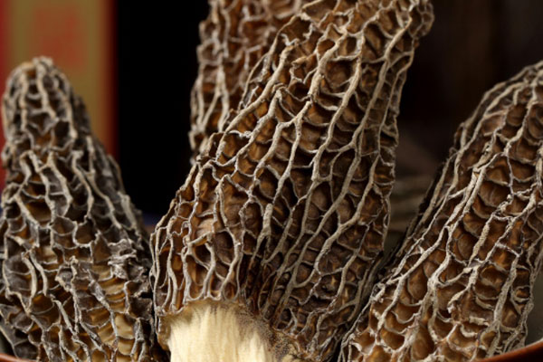 羊肚菌響鑼豬腱湯的功效作用 羊肚菌響鑼豬腱湯的功效作用