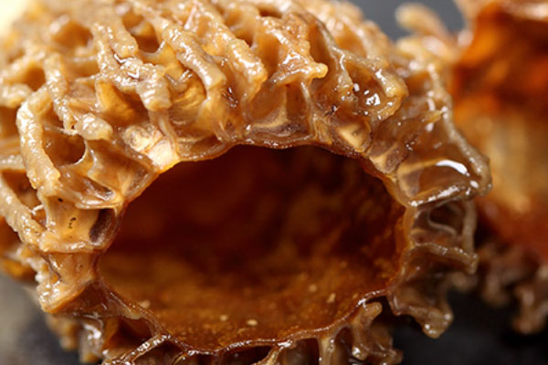 羊肚菌響鑼豬腱湯的食用禁忌 羊肚菌響鑼豬腱湯的食用禁忌