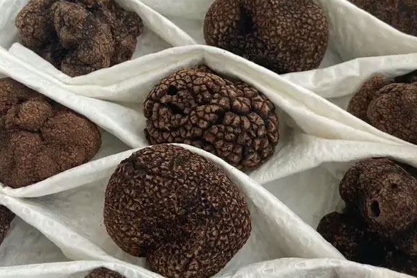 黑松露醬香五花肉的功效作用