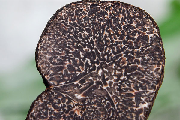 番茄黑松露肉丸湯的營養(yǎng)價值 番茄黑松露肉丸湯的營養(yǎng)價值