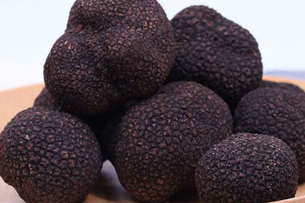 黑松露茶樹菇奶泡湯的功效作用