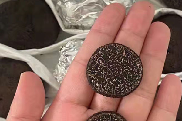 黑松露茶樹菇奶泡湯的食用禁忌