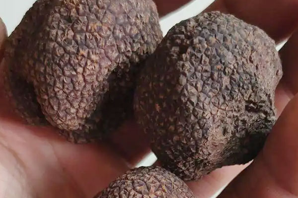 黑松露滑蛋奶油燴飯的功效作用