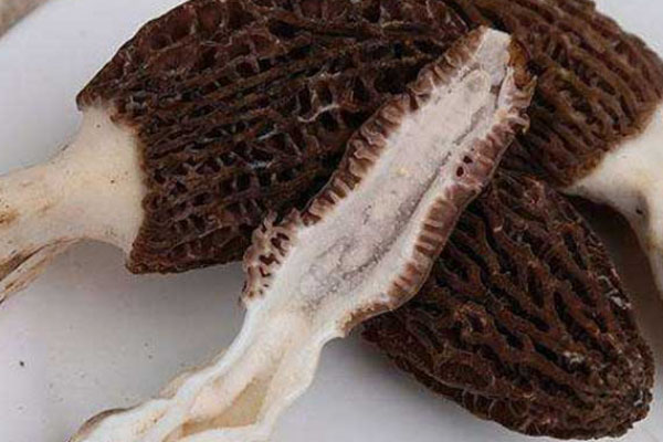 羊肚菌是健康食材嗎 羊肚菌是健康食材嗎