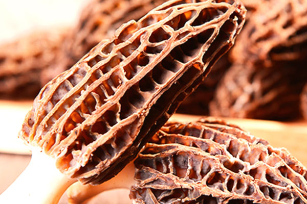 新鮮羊肚菌含有哪些營養(yǎng)成分 新鮮羊肚菌含有哪些營養(yǎng)成分