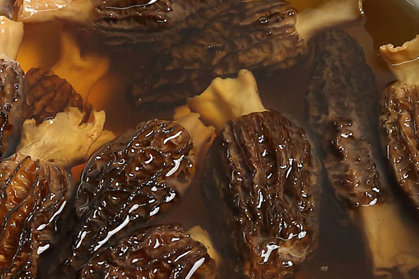 干羊肚菌泡過(guò)水可以放冰箱嗎 干羊肚菌泡過(guò)水可以放冰箱嗎